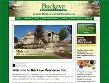 Tablet Screenshot of buckeyeresources.com